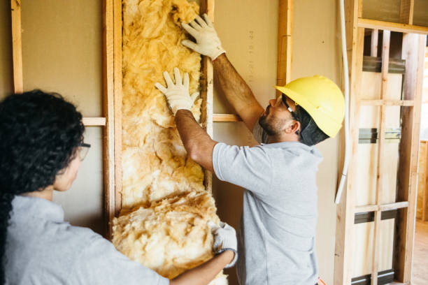 Eco-Friendly or Green Insulation Solutions in Lake San Marcos, CA